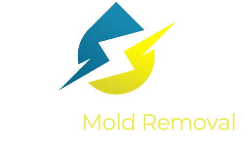 mold removal and water damage restoration