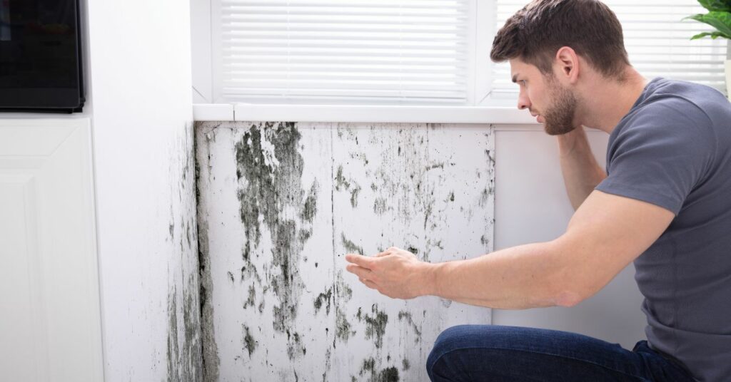 Knowing When to Walk Away from a House with Mold