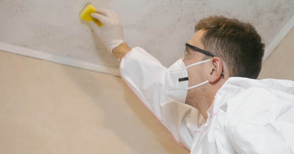 Top 10 Signs You Need Professional Mold Removal Services